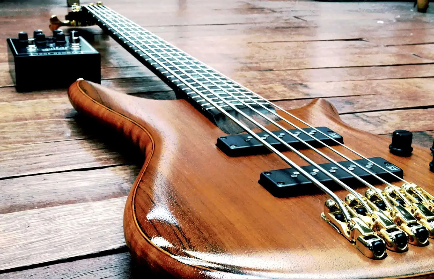 Bass Guitar bass guitar feature