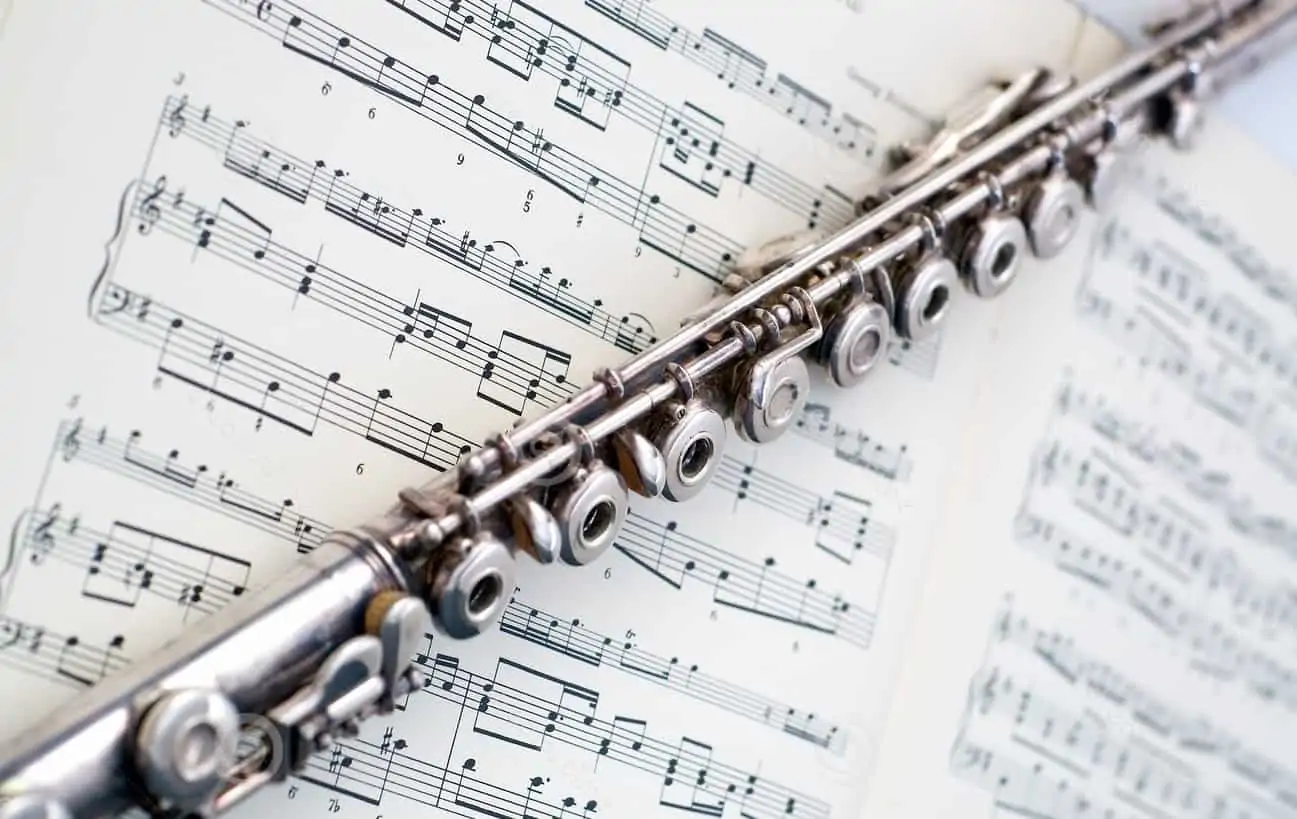 Flute. Flute review