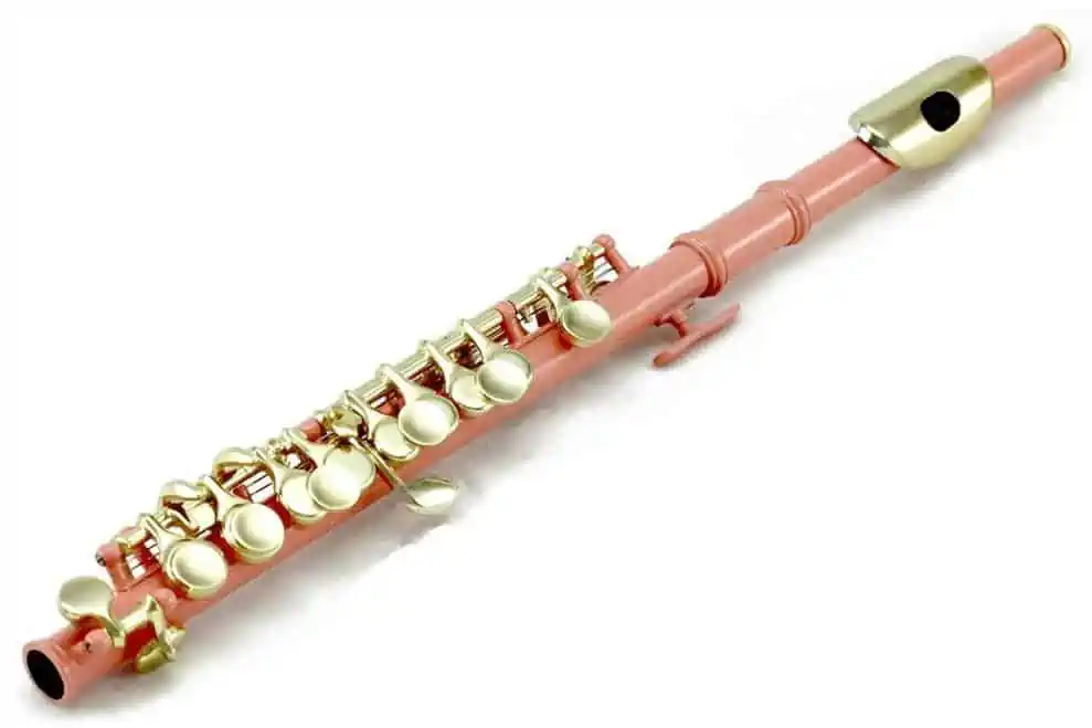 Piccolo. Pink Piccolo
