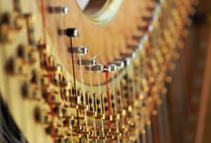 18 Best Acoustic Guitar Under 5000 Top 10 Tips to playing the Harp