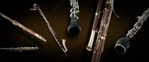 18 Best Acoustic Guitar Under 5000 woodwind accessories