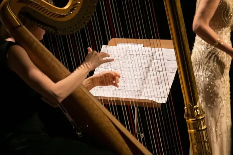 Amazing Harp Facts