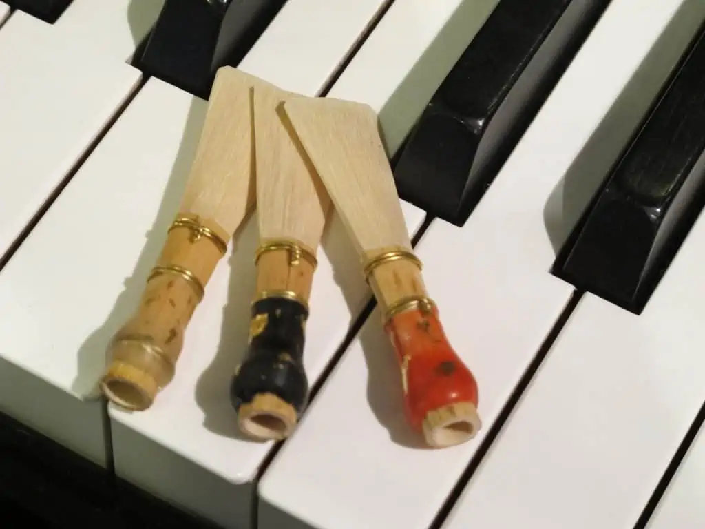 Bassoon Reeds