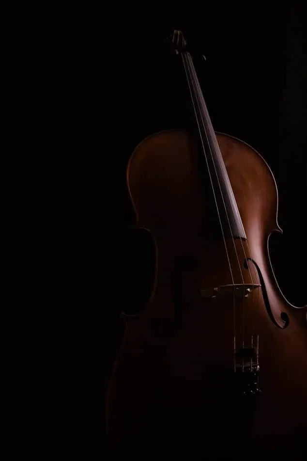 Cello Facts