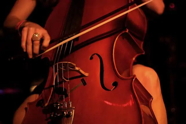 Cello Facts