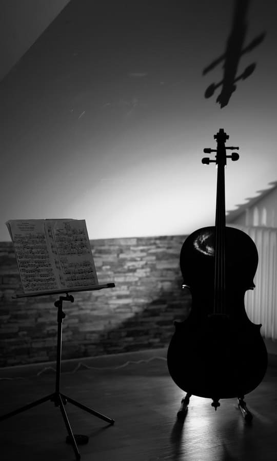 Cello Facts Cello Facts