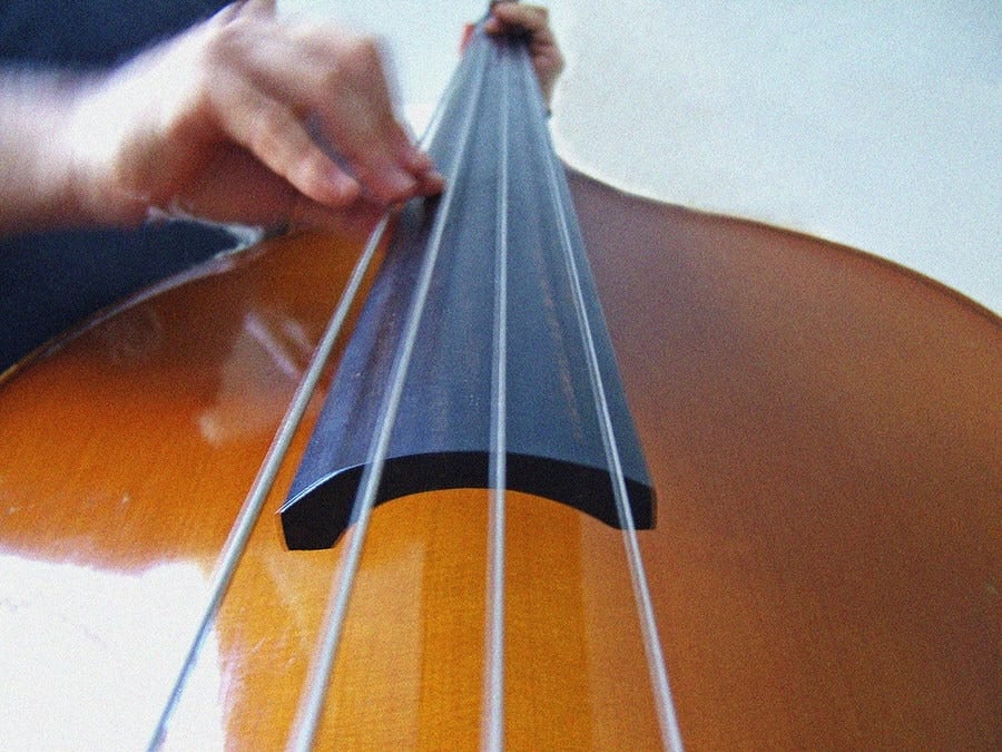 Double Bass Facts Ted's List