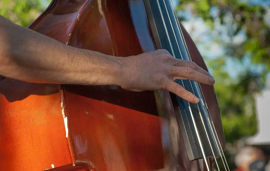 Double Bass Facts Ted's List