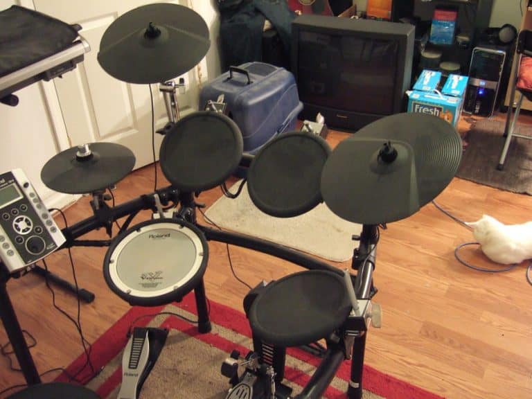 Drums Facts Ted's List