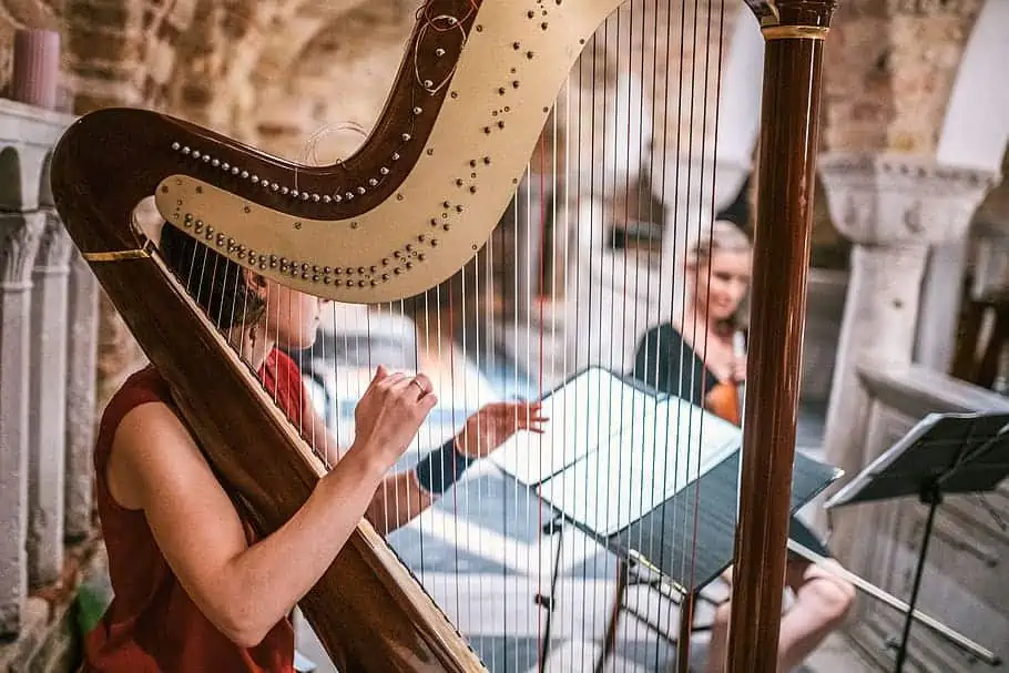 Facts About Harps You Need To Know