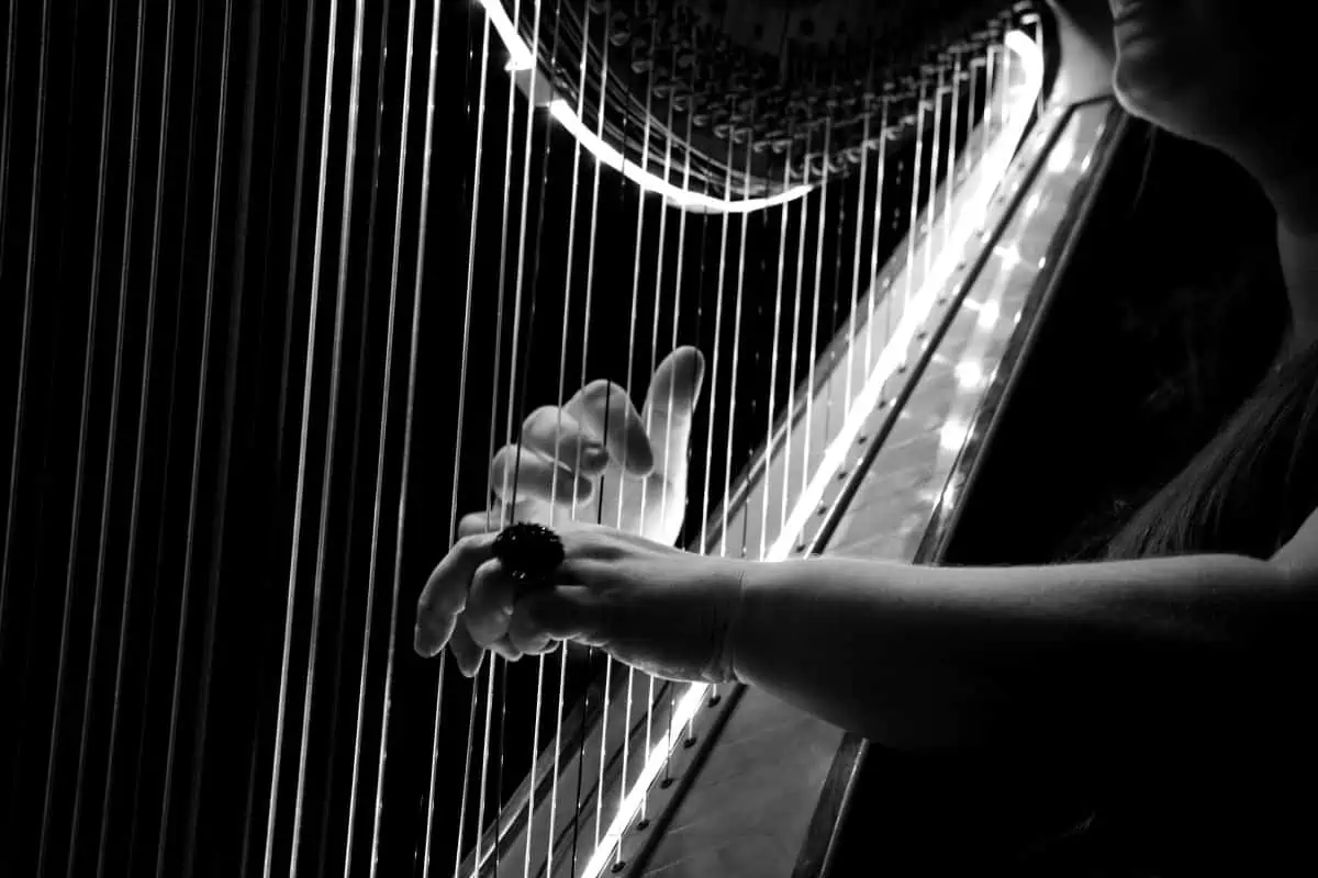 Facts About The Harp
