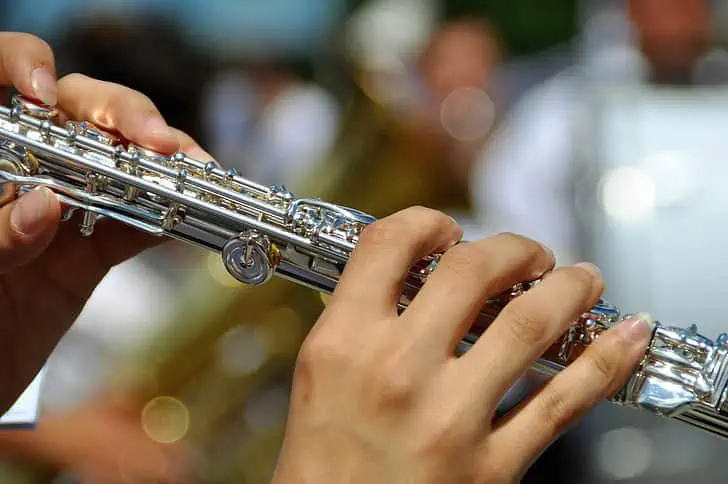 Flute Facts