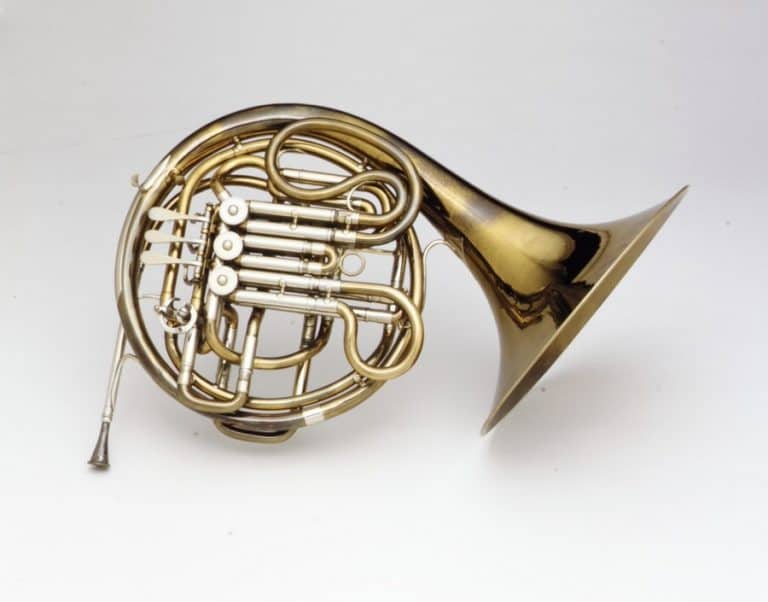 French Horn Facts Ted's List