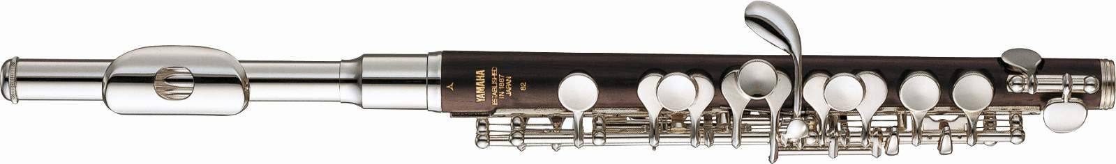 Piccolo Facts | Ted's List