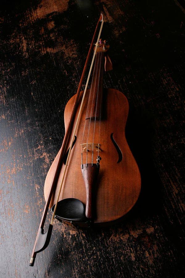 Violin Facts Violin Facts