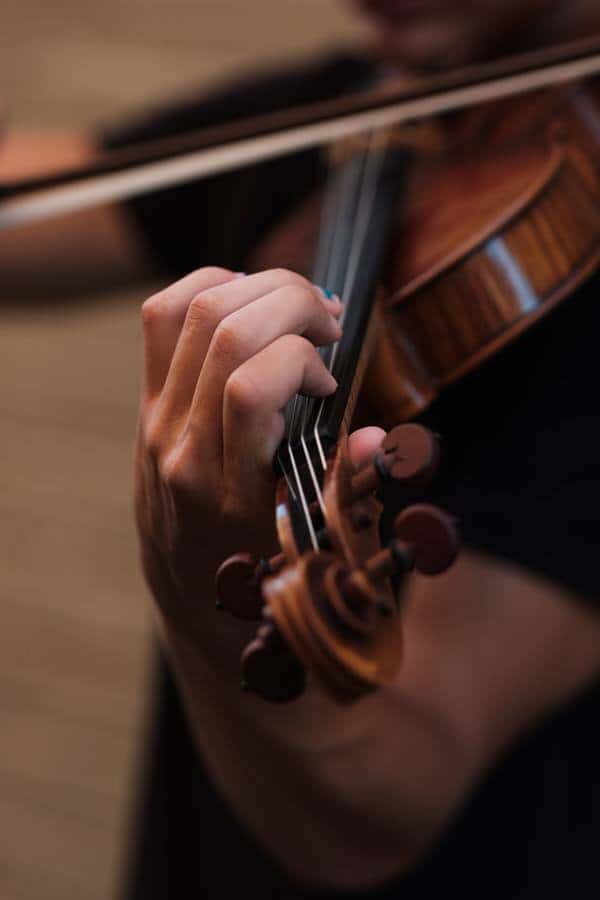Violin Facts Violin Facts