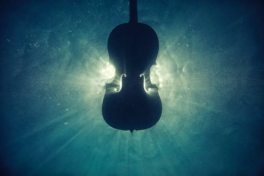 Violin FAQ