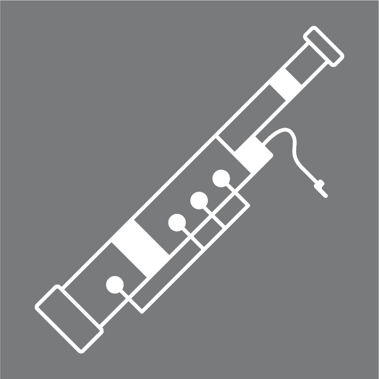 Beginner's Guide To Learning The Bassoon