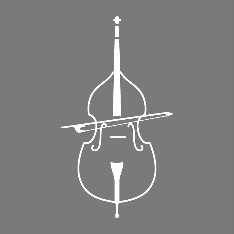 Beginner's Guide To Learning The Double Bass