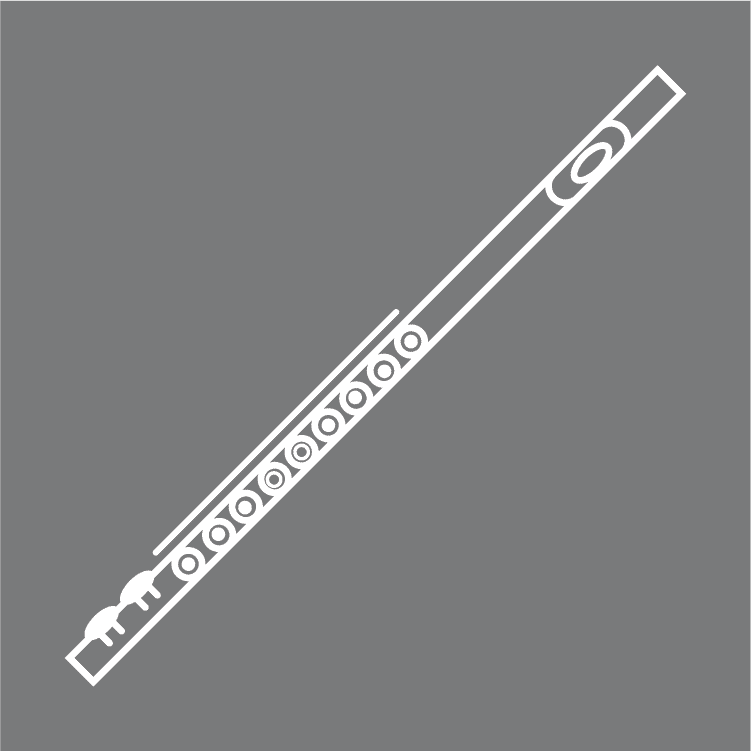Beginner's Guide To Learning The Flute