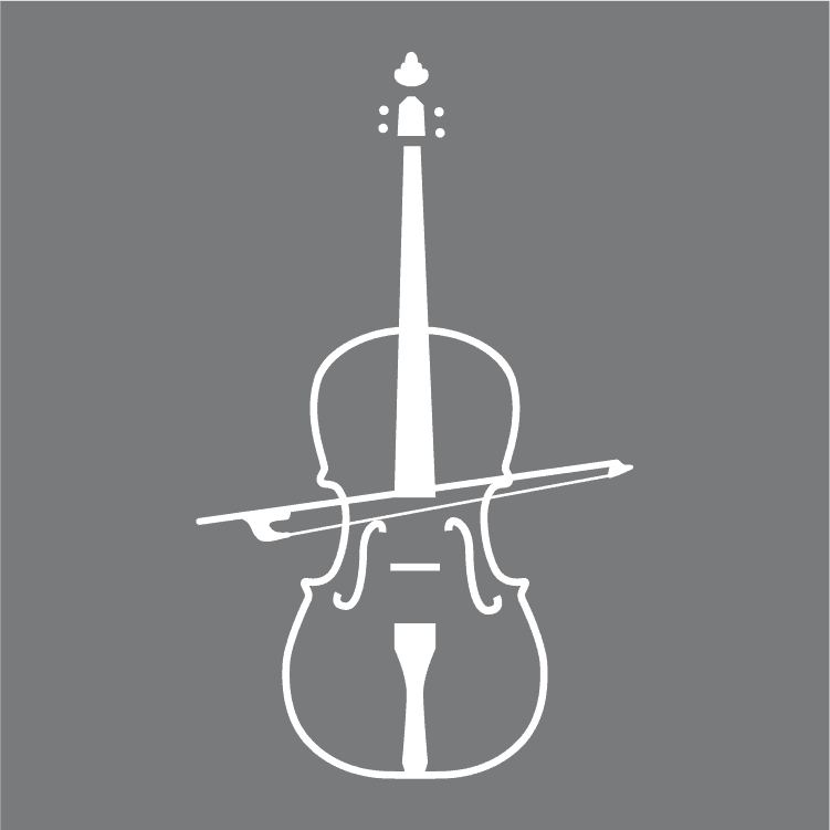 Beginner's Guide To Learning The Violin