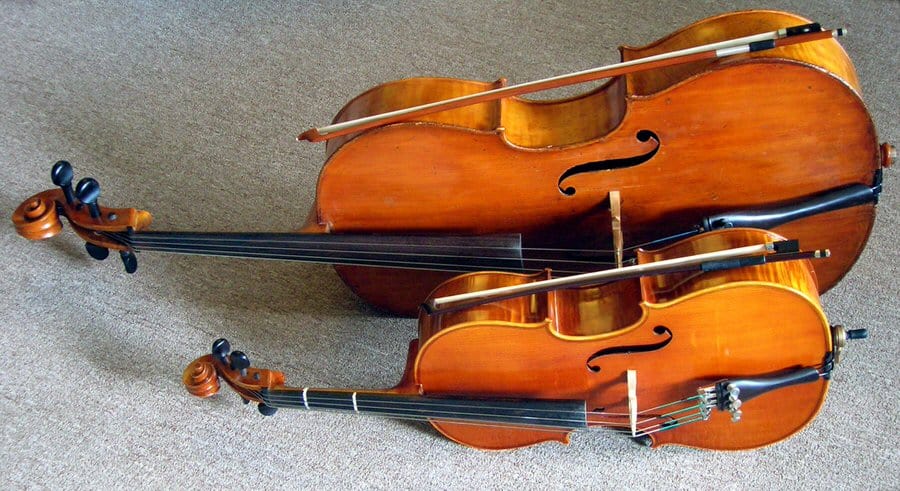 How To Choose A Cello