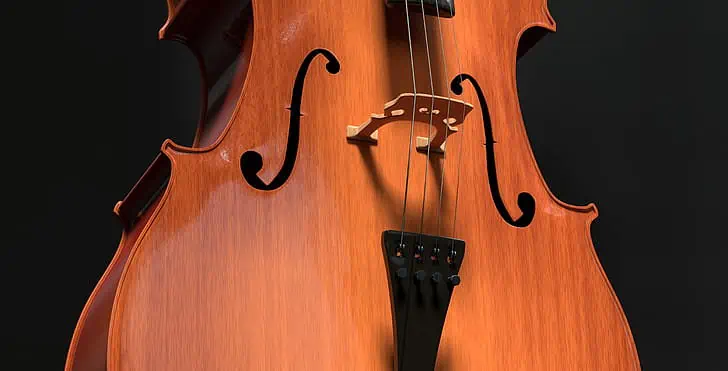 How To Choose A Cello