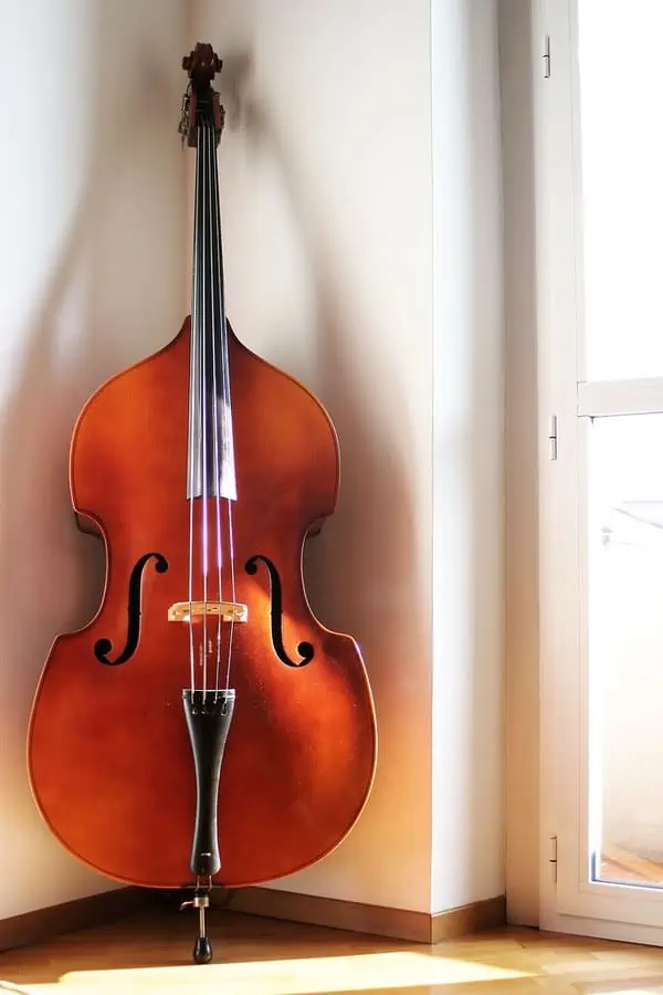 How to choose a Double Bass