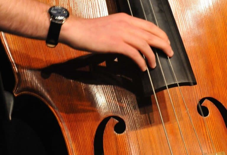 How To Choose A Double Bass