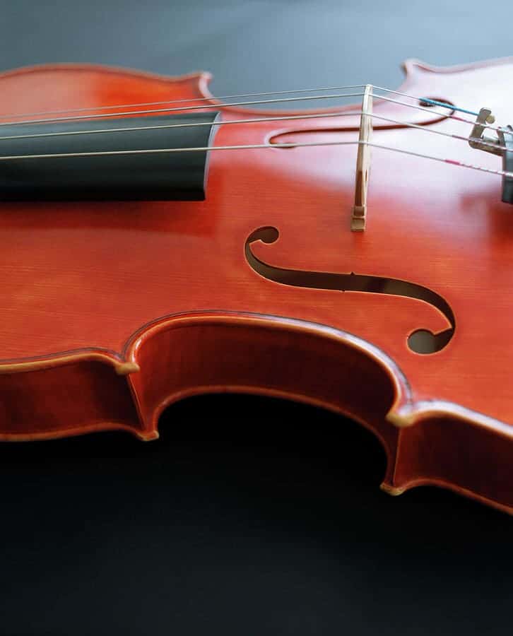 How To Choose A Viola