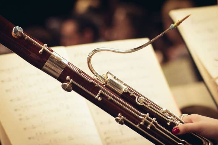 Beginners Guide To Learning The Bassoon Ted's List
