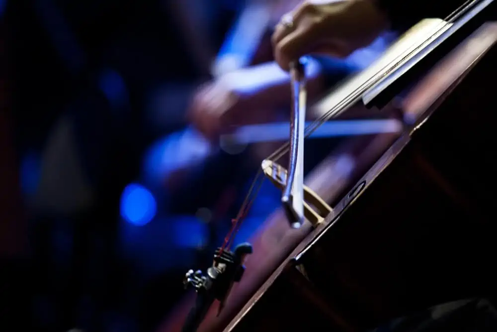 Beginners Guide to Learning the Cello