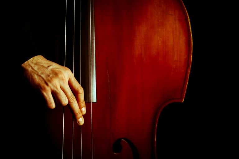 Beginners Guide To Learning The Double Bass Ted's List