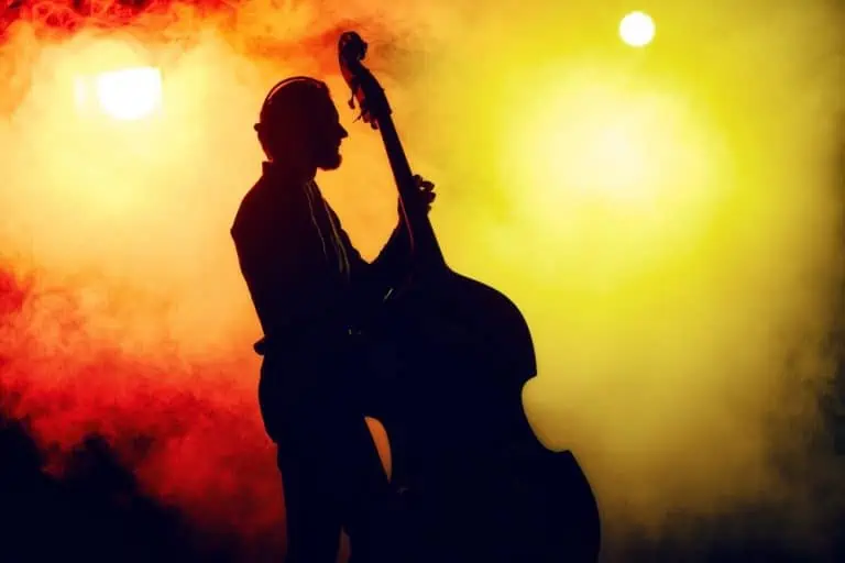 Beginners Guide to Learning the Double Bass