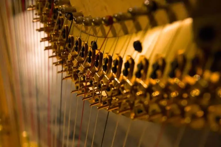 Beginners Guide to Learning the Harp