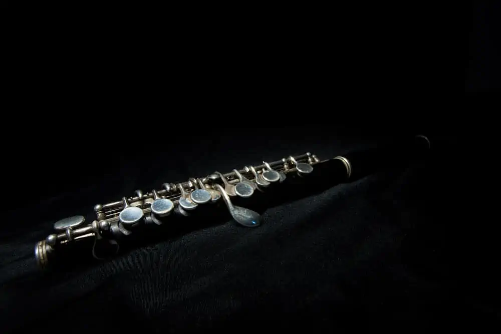 Beginners Guide to Learning the Piccolo