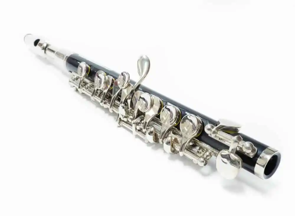 Beginners Guide to Learning the Piccolo