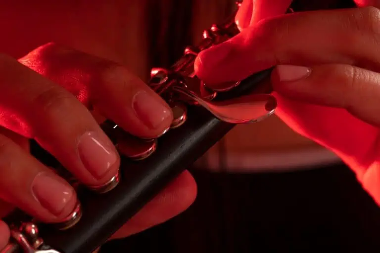 Beginners Guide To Learning The Piccolo Ted's List