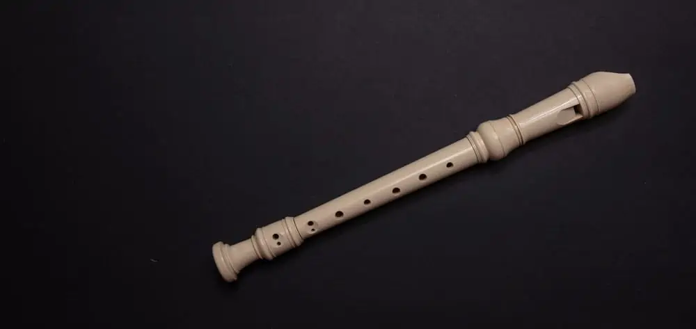 Beginners Guide to Learning the Recorder