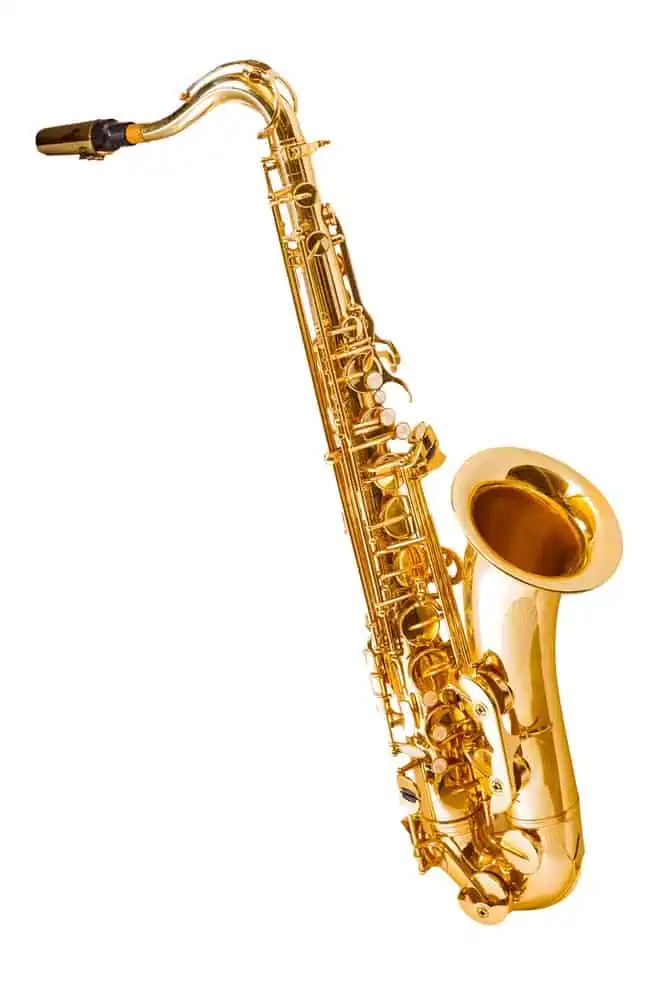 Beginners Guide to Learning the saxophone