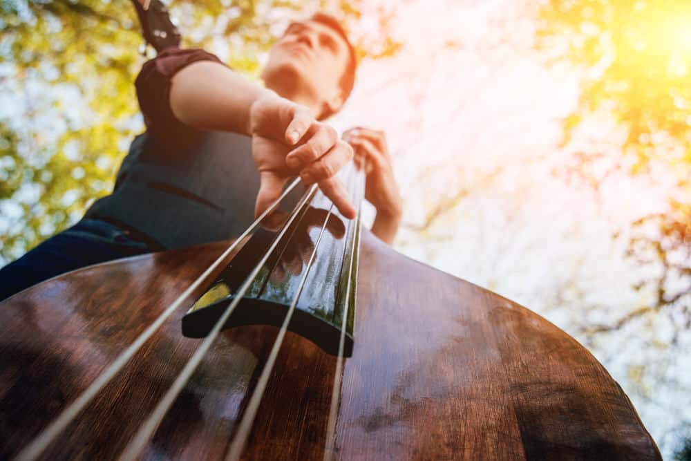 Double Bass Learning Methods