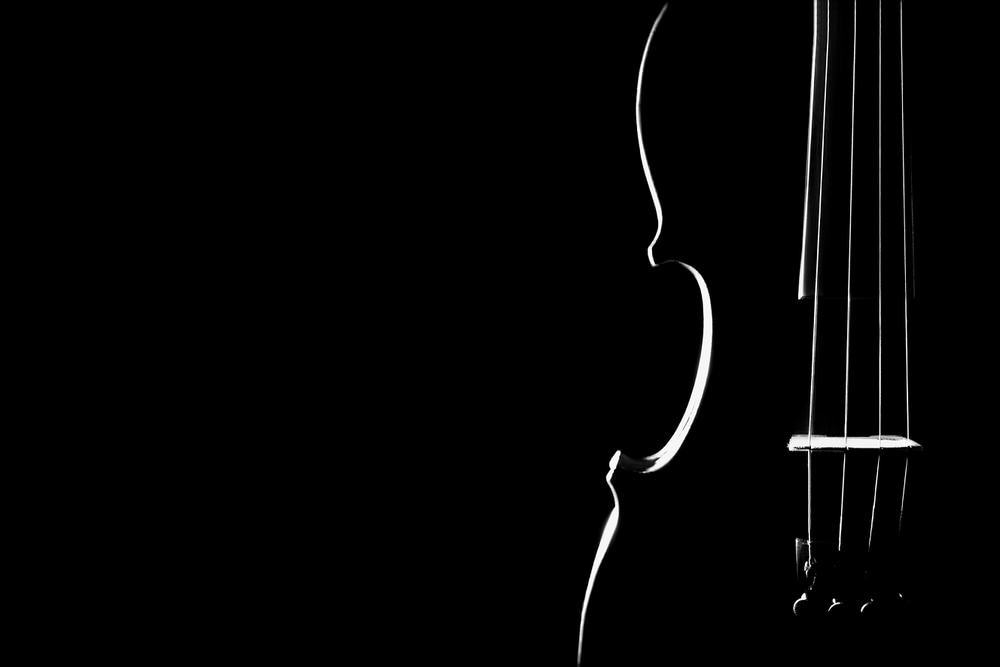 How Much Does A Good Violin Cost?