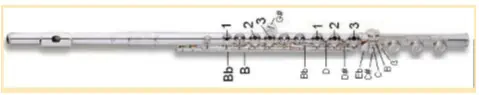 How to play the flute