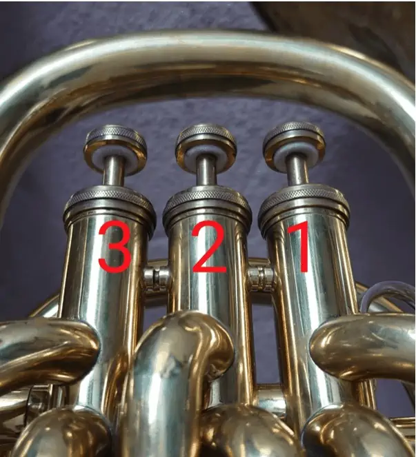 How to play the tuba