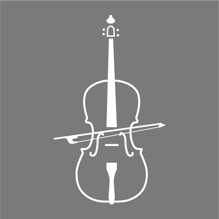 How To Play The Viola