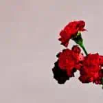 John-Legend