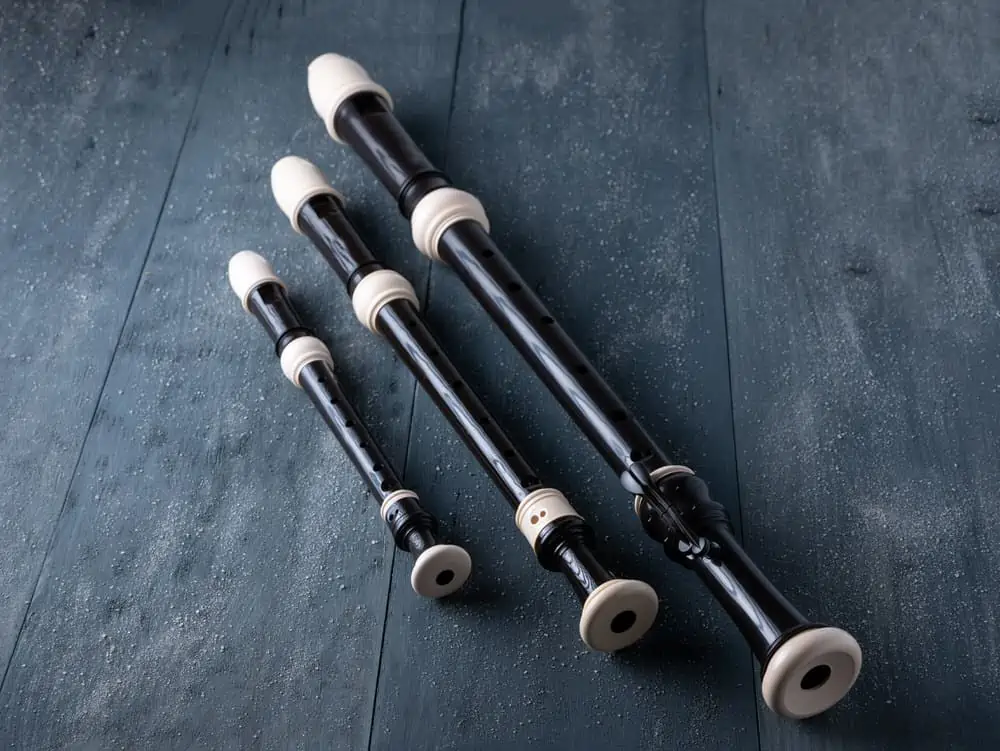 Recorder Learning Methods