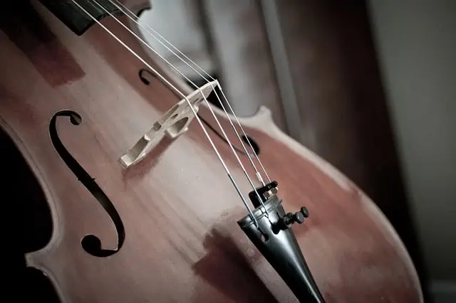 Cello Buyer’s Guide