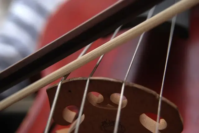 Cello Buyer’s Guide