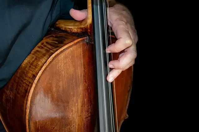 Cello Buyer’s Guide